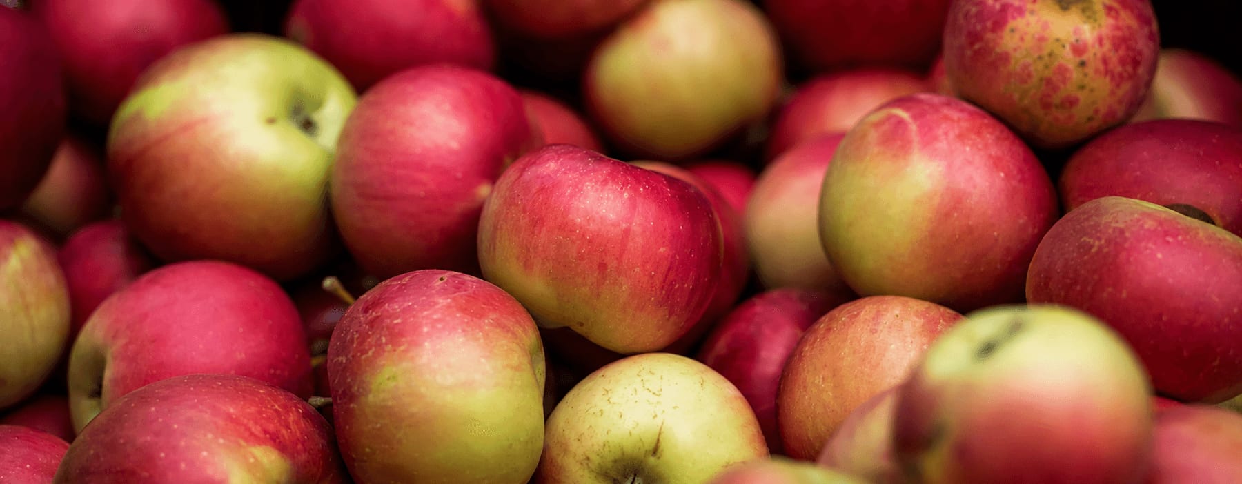 Őszi almavásár – friss, piros-zöld almák közelről